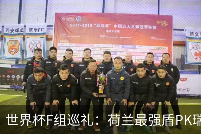 世界杯F组巡礼：荷兰最强盾PK瑞典犀利刀 日本短板明显